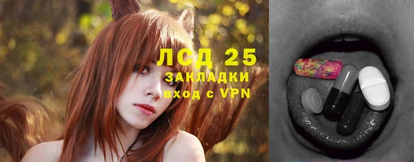 ГАЛЛЮЦИНОГЕННЫЕ ГРИБЫ Елизово