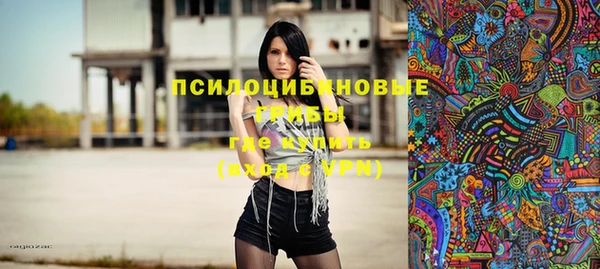 дмт Заволжск