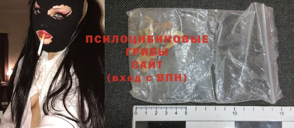 прущие крисы Заводоуковск