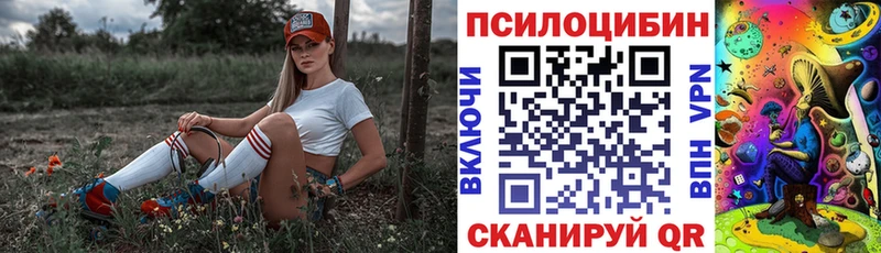 Купить  Харабали  Псилоцибиновые грибы GOLDEN TEACHER 